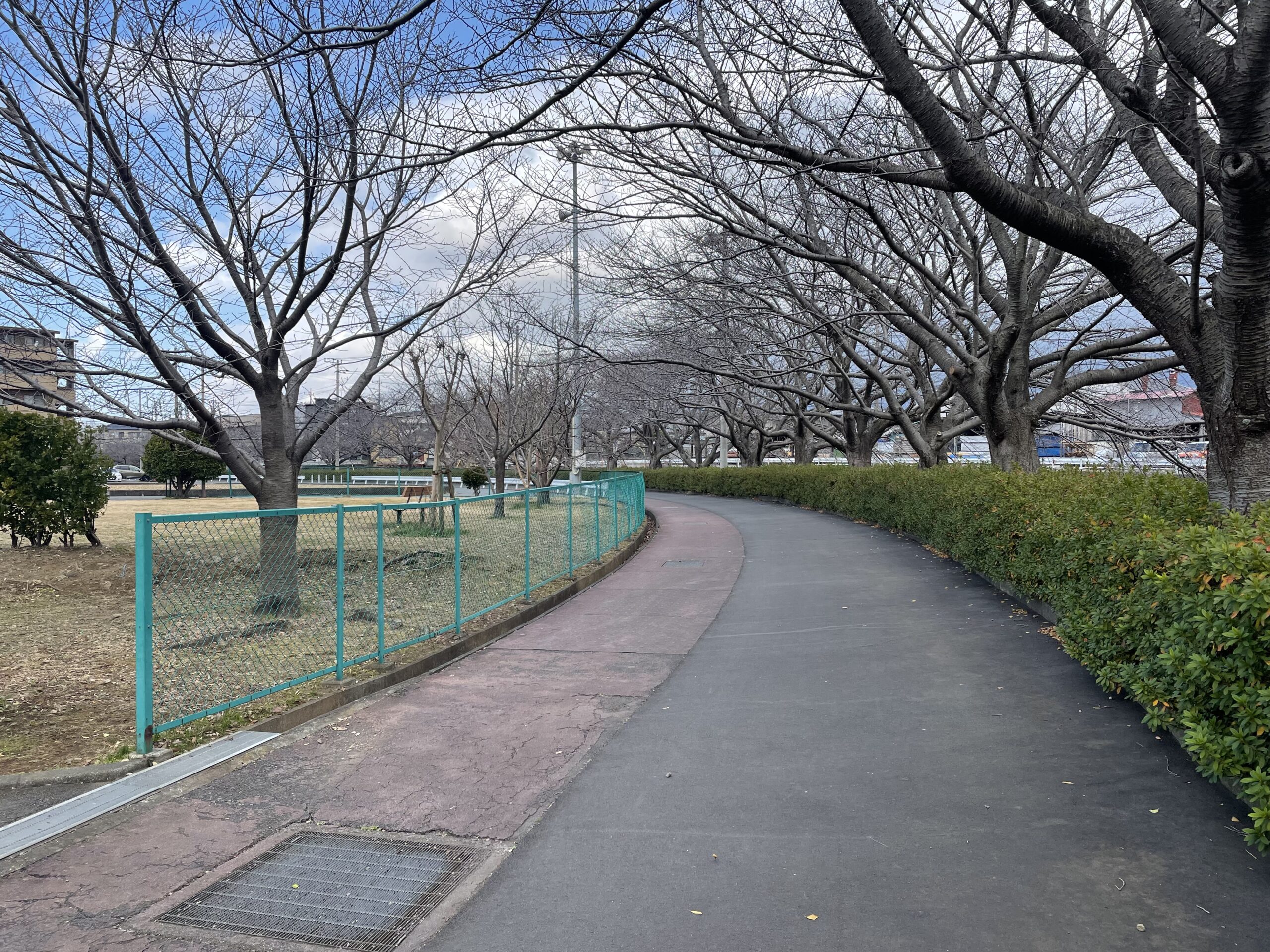 桜堤遊歩道でのんびり｢非日常｣体験